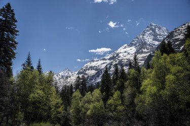 Similar image 20984750