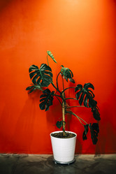 Similar image 21004588