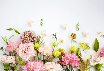 Similar image 21015855