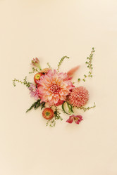 Similar image 21015860