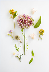 Similar image 21015866