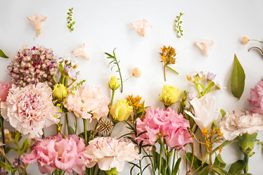 Similar image 21015867