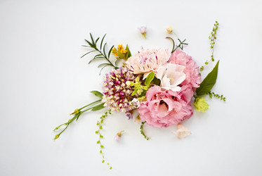 Similar image 21016089