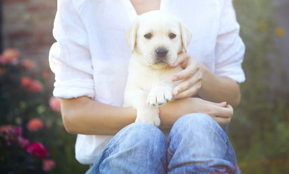 Similar image 21015498