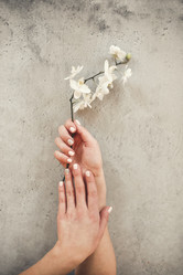 Similar image 21004414