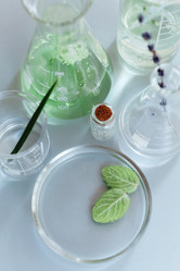 Similar image 21004734