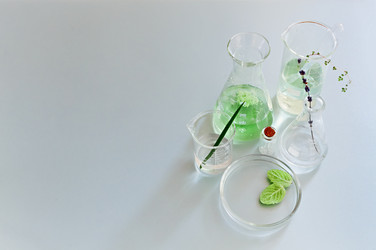 Similar image 21004735