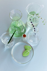 Similar image 21004816