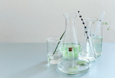 Similar image 21004818