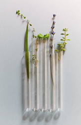 Similar image 21015507