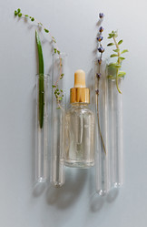 Similar image 21015551