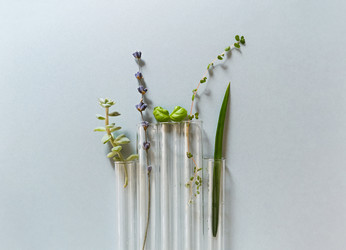 Similar image 21015639