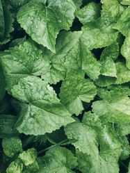 Similar image 21003456