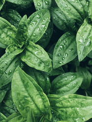 Similar image 21004347