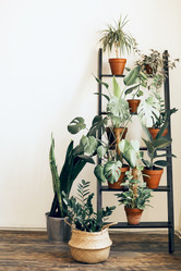 Similar image 21015579