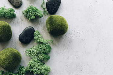 Similar image 21015580