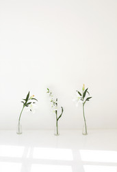 Similar image 21015656