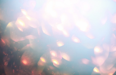 Similar image 21016092