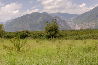 Similar image 20983173