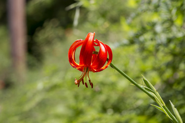 Similar image 20983178