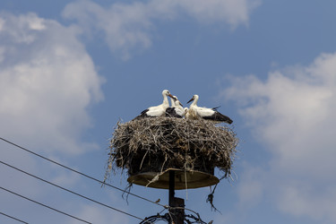 Similar image 20983179