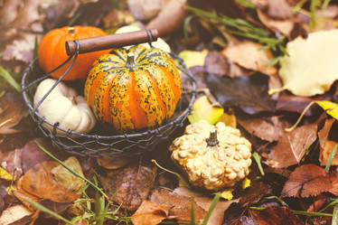 Similar image 21016093