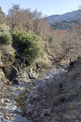 Similar image 20983184