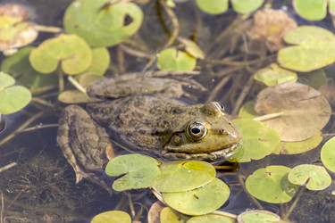 Similar image 20983186