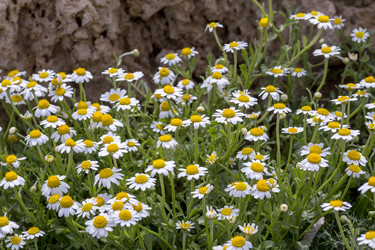 Similar image 20983190