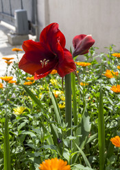 Similar image 20983193