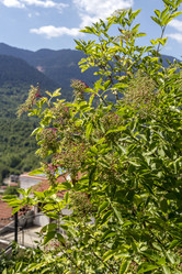 Similar image 20983197