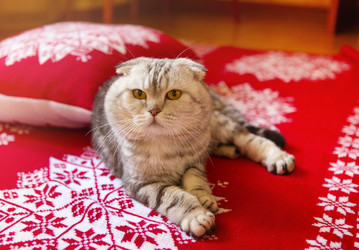 Similar image 21015517