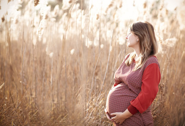 Similar image 21015921