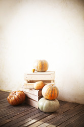 Similar image 21016143