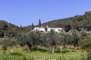 Similar image 20983198