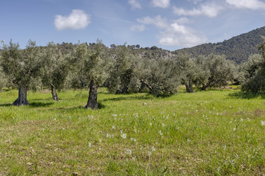 Similar image 20983200