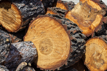 Similar image 20983208