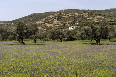 Similar image 20983212