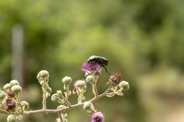 Similar image 20983220