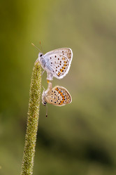 Similar image 20983221