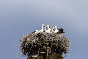 Similar image 20983226