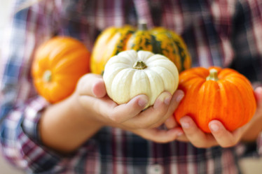 Similar image 21015674