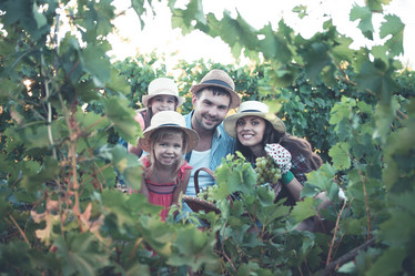 Similar image 21015675