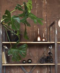 Similar image 21015688