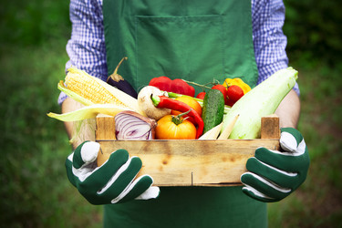 Similar image 21015758