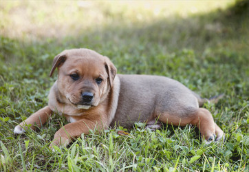 Similar image 21015947