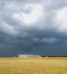 Similar image 21016096