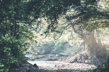 Similar image 21015529