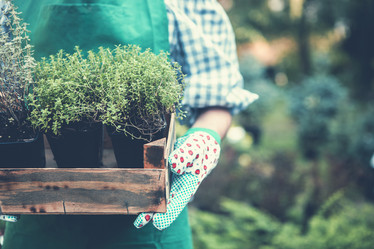 Similar image 21015799