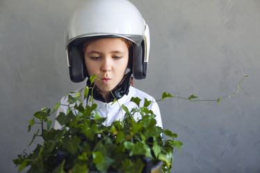 Similar image 21004765